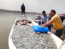 Landlocked province exports fish to Europe