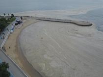 Experts predict mucilage-free summer for Marmara Sea