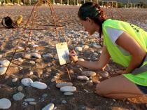 Çıralı Beach poised to set record as sea turtle nests soar
