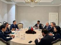 Energy Minister holds talks at SCO summit in Astana