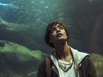 French court decides Netflix shark hit can keep streaming in copyright row