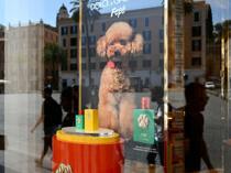 Dolce & Gabbana launches controversial dog perfume
