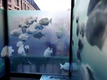 Banksy unveils seventh animal-themed work in a week