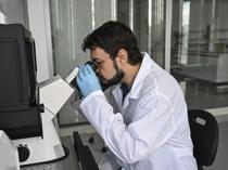 Scientists develop sheep-derived heart valve implant