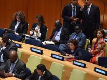 Türkiye says UN must reform for better crisis management