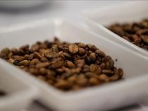 Coffee exports generate $155 million in revenues in 5 years