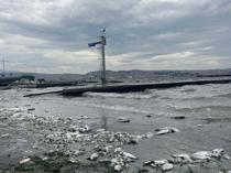 Ministry launches action plan against pollution in İzmir Gulf