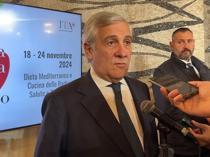 Italy aims to ease visa process for Turkish students amid delays