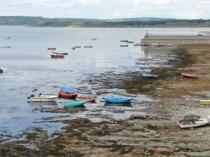 Some 225 bln liras spent on environmental protection last year