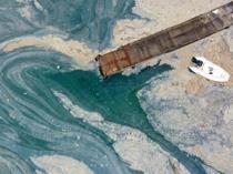 Scientific team to reconvene for Marmara Sea years after mucilage crisis