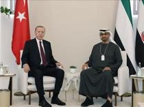 Turkish, UAE presidents discuss Syria, Palestine