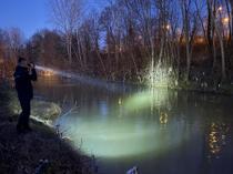 Dolphin found in Bartın river prompts rescue operation
