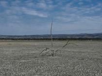 Top climate scientist declares 2C climate goal dead