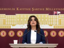 DEM Party urges peace commission before parliament recess