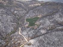 Nectarine orchard remains untouched in devastating Bursa fire