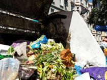 Türkiye launches national effort to combat food waste