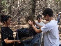 Schools in Türkiye to open with focus on forest preservation amid wildfire fallout
