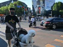 China’s consumer prices stable in July, providing some respite