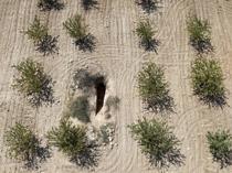 ‘Artificial cave’ in Şanlıurfa revealed as historic rock-cut tomb