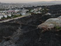 Wildfires sweep western Türkiye, ravaging thousands of hectares