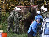 Japan deploys army to counter a surge in bear attacks