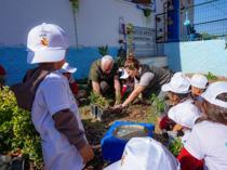 Millions of saplings planted across Türkiye on National Afforestation Day