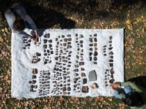 Ancient grains shed light on Early Bronze Age life