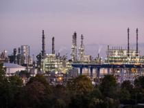 BASF boss says China vital for companys future growth