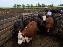 Beef and bananas: US unveils Latin America trade deals