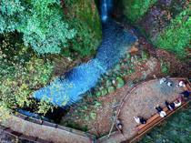 Ecotourism flourishes in forests, driving rural development