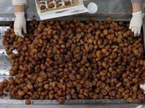 Türkiye’s candied chestnut, İpsala rice gain EU protection