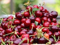 Türkiye ranks first worldwide in seven agricultural products