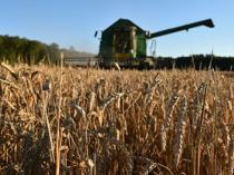 EU reaches accord on new generation of GM crops