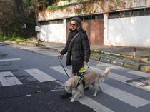 Guide dogs strengthen mobility, safety for Türkiye’s visually impaired