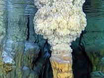 Underwater formations of Gilindire Cave on camera
