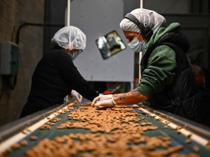 French almond makers revive traditions to counter US dominance
