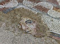 Mosaic-floored reception hall unearthed in Hadrianopolis