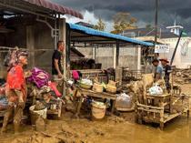 Indonesia floods extinction level for rare orangutans