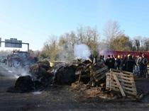 French farmers block roads over cow disease cull