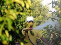 Türkiye bans online, over-the-counter pesticide sales