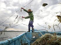 Türkiye expands fishing operations into Somali waters