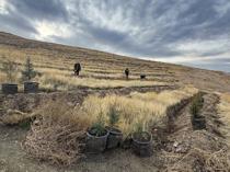 Afforestation drive launched in Iğdır to tackle Türkiye’s worst air pollution