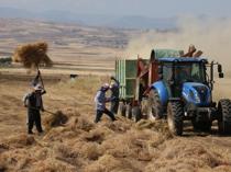 Annual increase in agricultural input prices slows in October