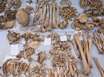 Genetic mapping made for people who lived at ancient hill