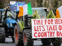 Thousands of Irish, French farmers protest Mercosur deal
