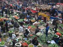 Global food prices up 4.3 pct in 2025, says FAO