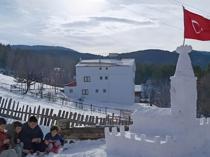 Sivas children snow ‘Kız Kulesi’ replica wins minister invitation