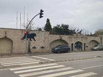 Türkiye’s prominent zoo closes after 33 years of operation