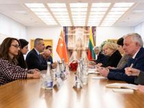 Turkish, Baltic top diplomats meet in summit to discuss Europe’s security