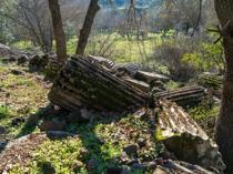 Hidden oracle of Apollo awaits restoration
